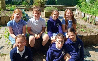 Primary School’s work tackling global poverty recognised with Christian Aid Silver award