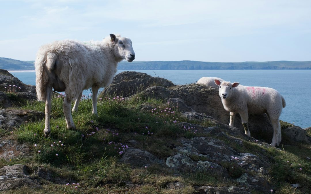 Team Rector Designate South Molton Mission Community