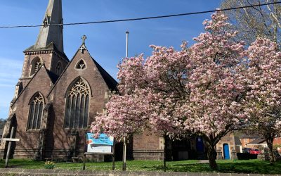 Devon Churchwarden Who Helped Save Life at Church Service Receives St Boniface Award